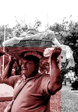 Lunch promenade header image