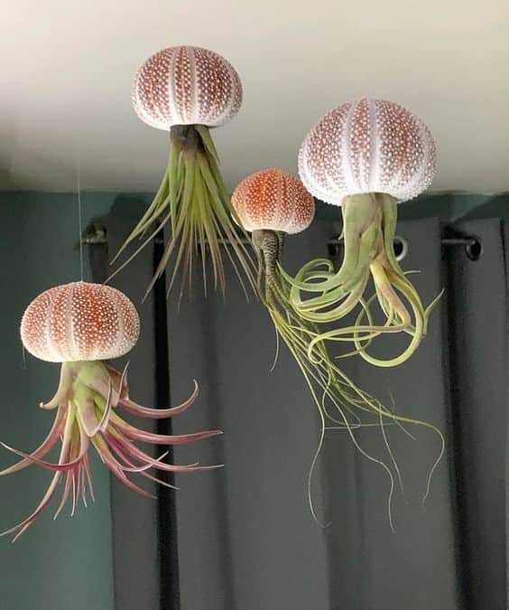 Workshop jellyfish hangers header image
