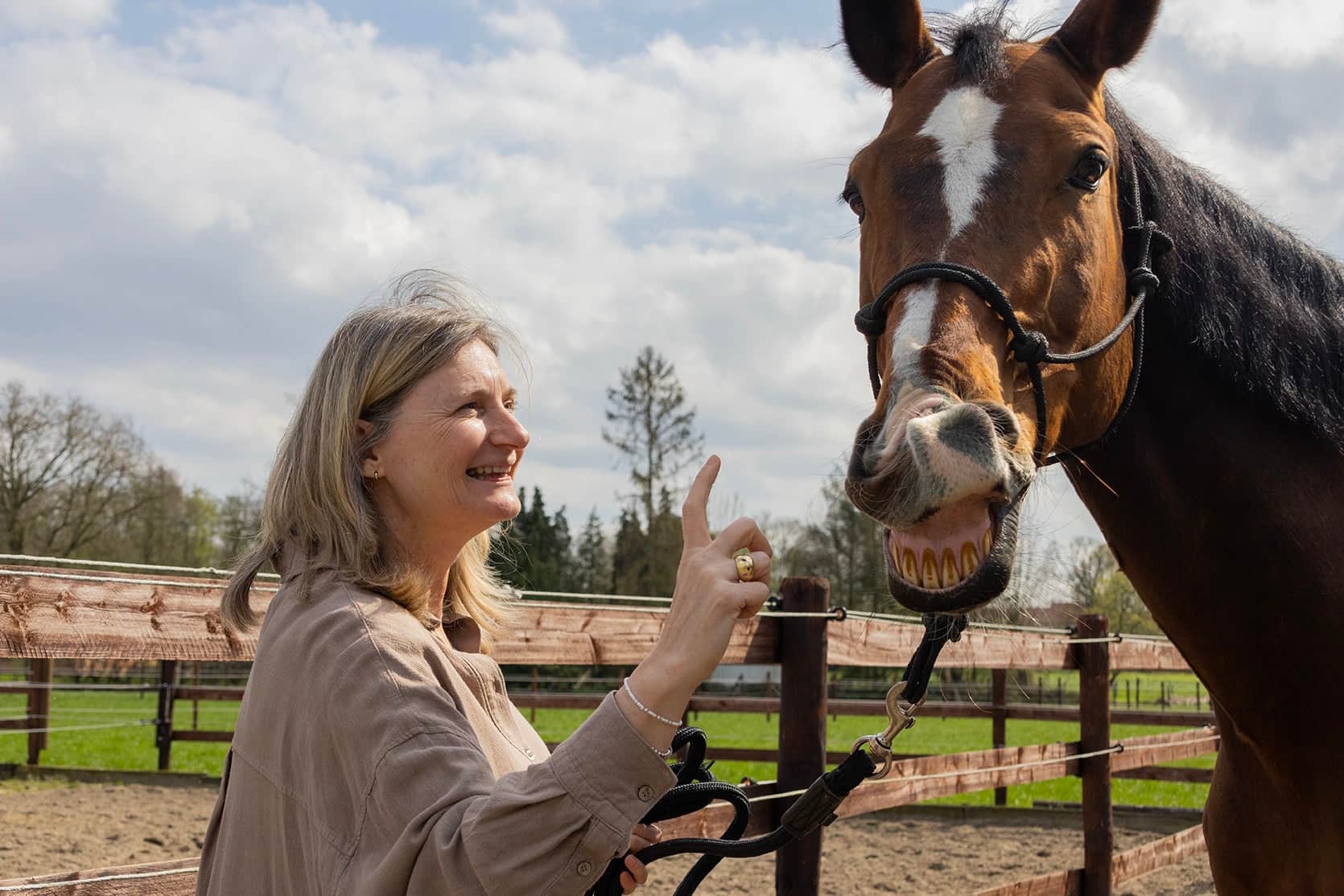 Paardenkracht in je team header image