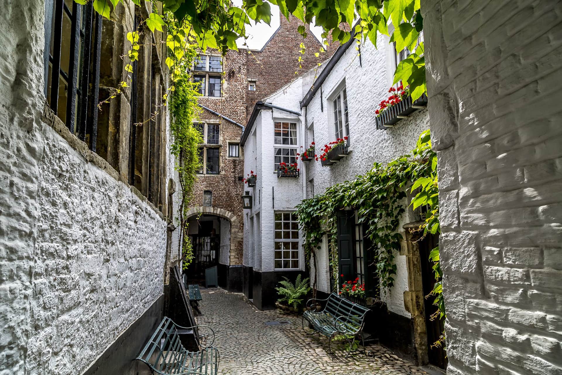 Walk & Dine: Antwerp Center header image