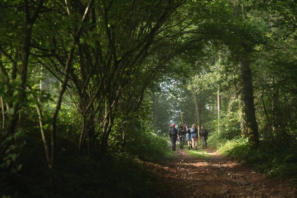 Leer zelf wildplukken!