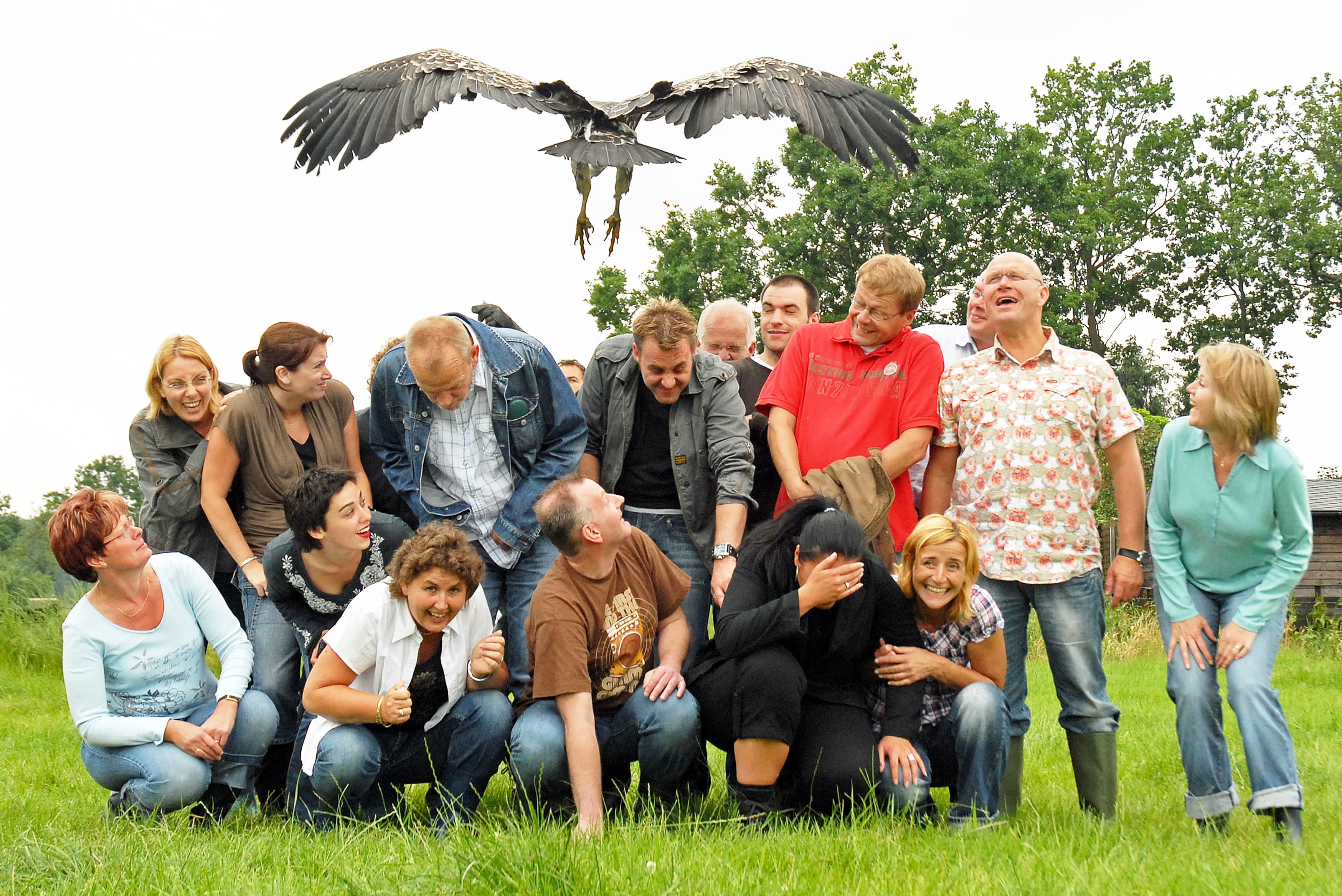 Team Building with Birds of Prey & Owls header image