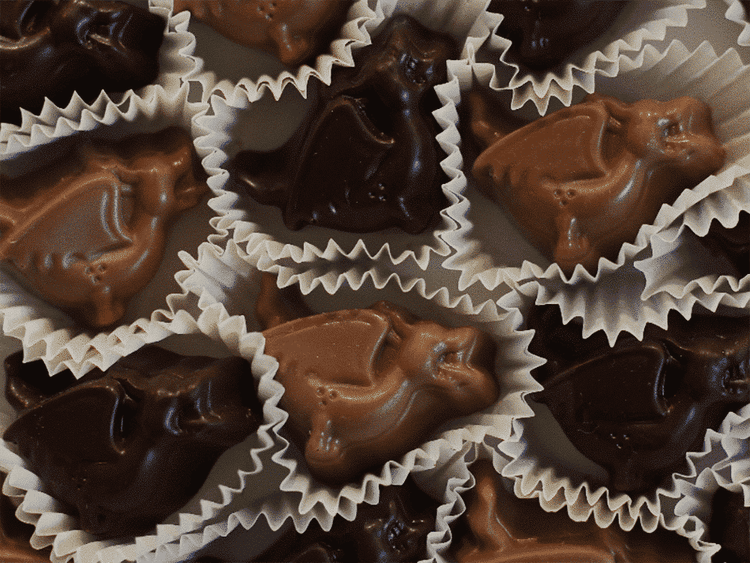 Chocolate Walk Ghent - Header