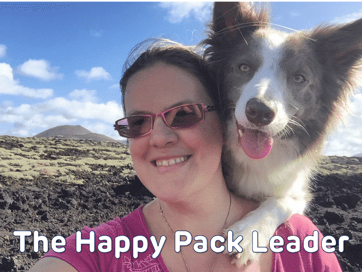 The happy pack leader - Header