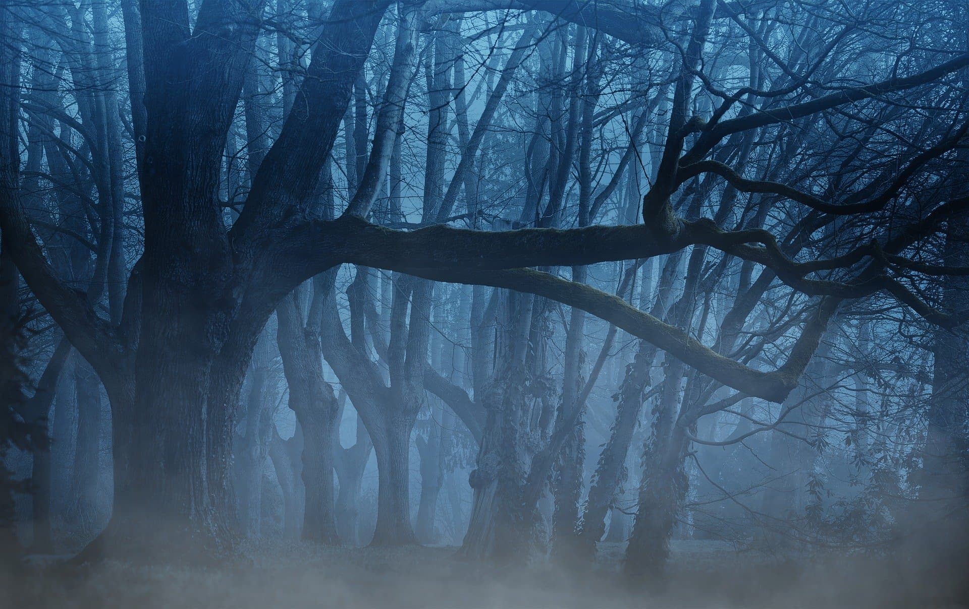 Hybride Dropping header image