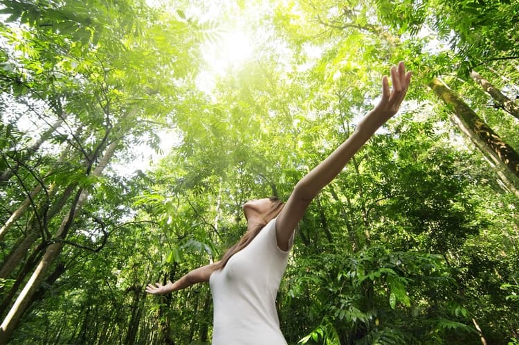 Workshop Mindfulness - Header
