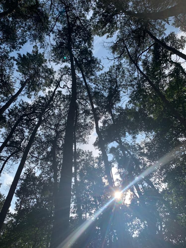 Meditatie met live muziek - Header