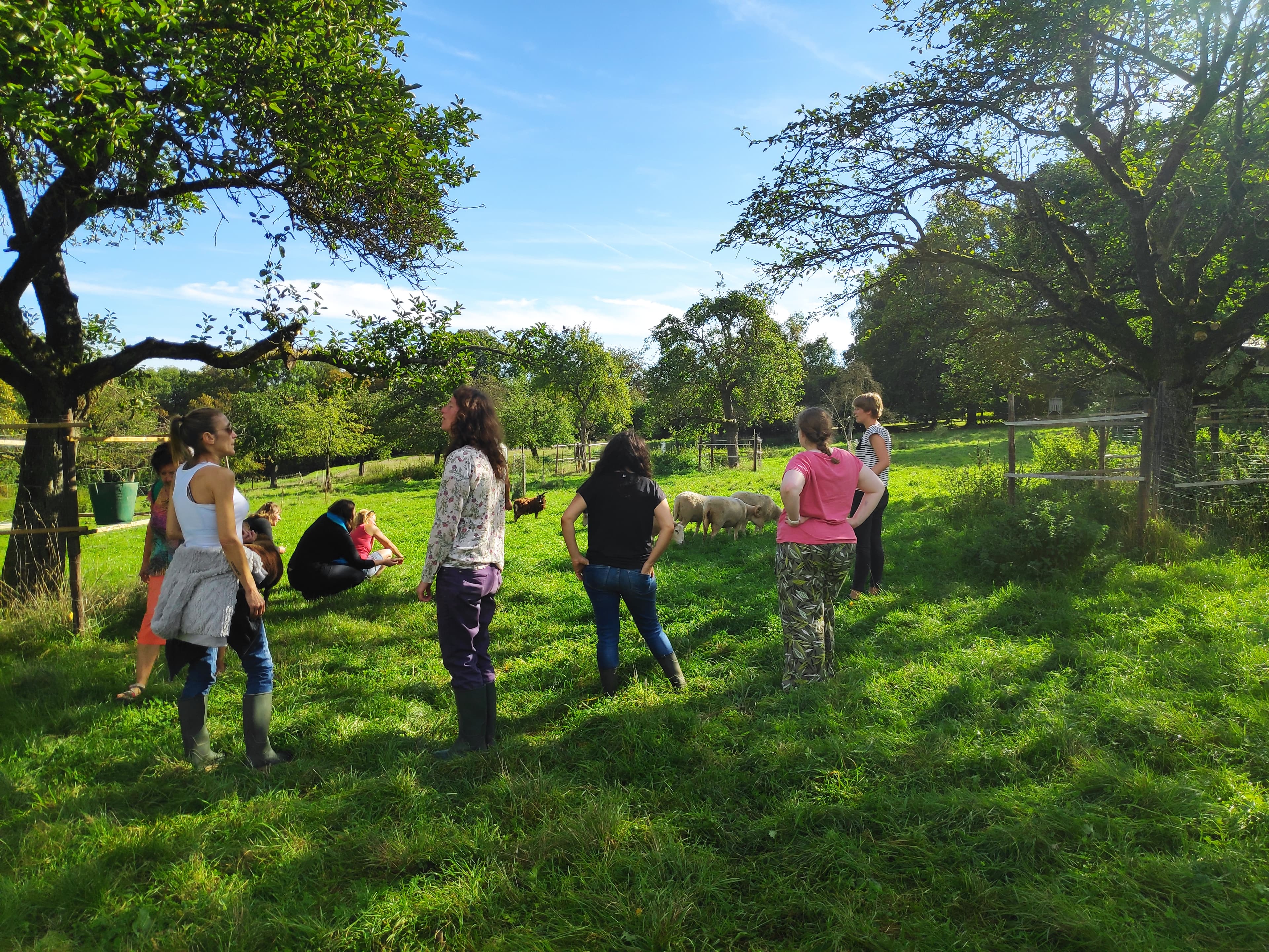 Slow Team building: Go green to build team spirit!