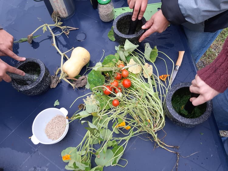 Slow Teambuilding : Exploration culinaire - Header