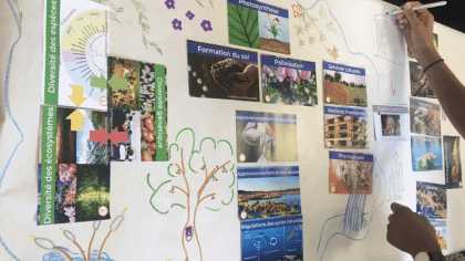 The Biodiversity Fresk