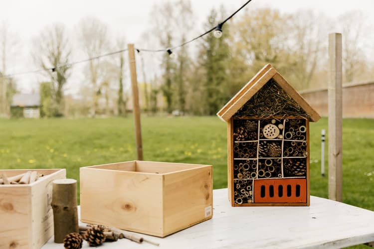 Eco teambuilding - Header