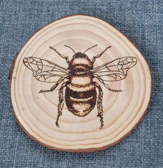 Gravure sur tranche d'arbre - Header