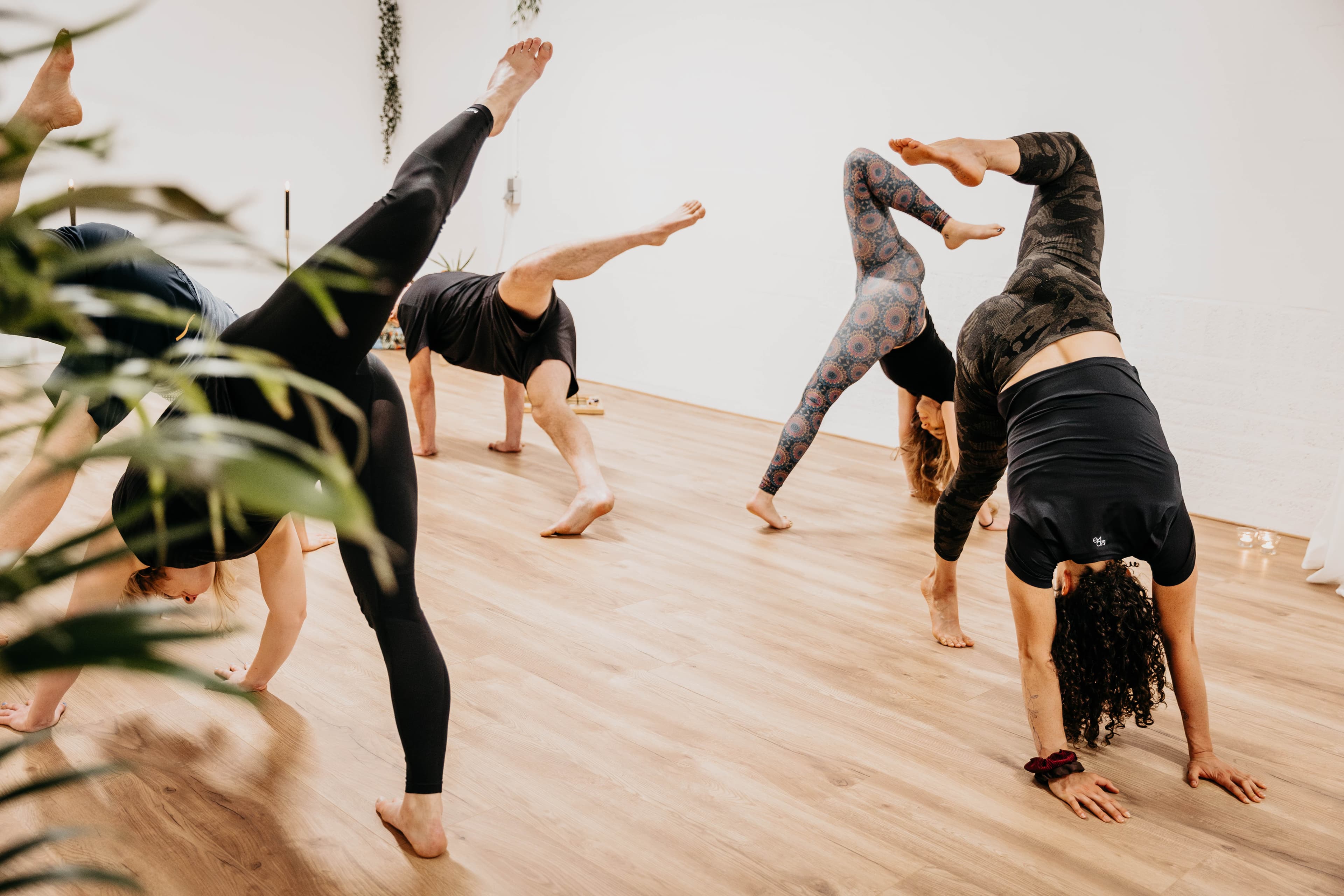 Yoga / Animal flow header image