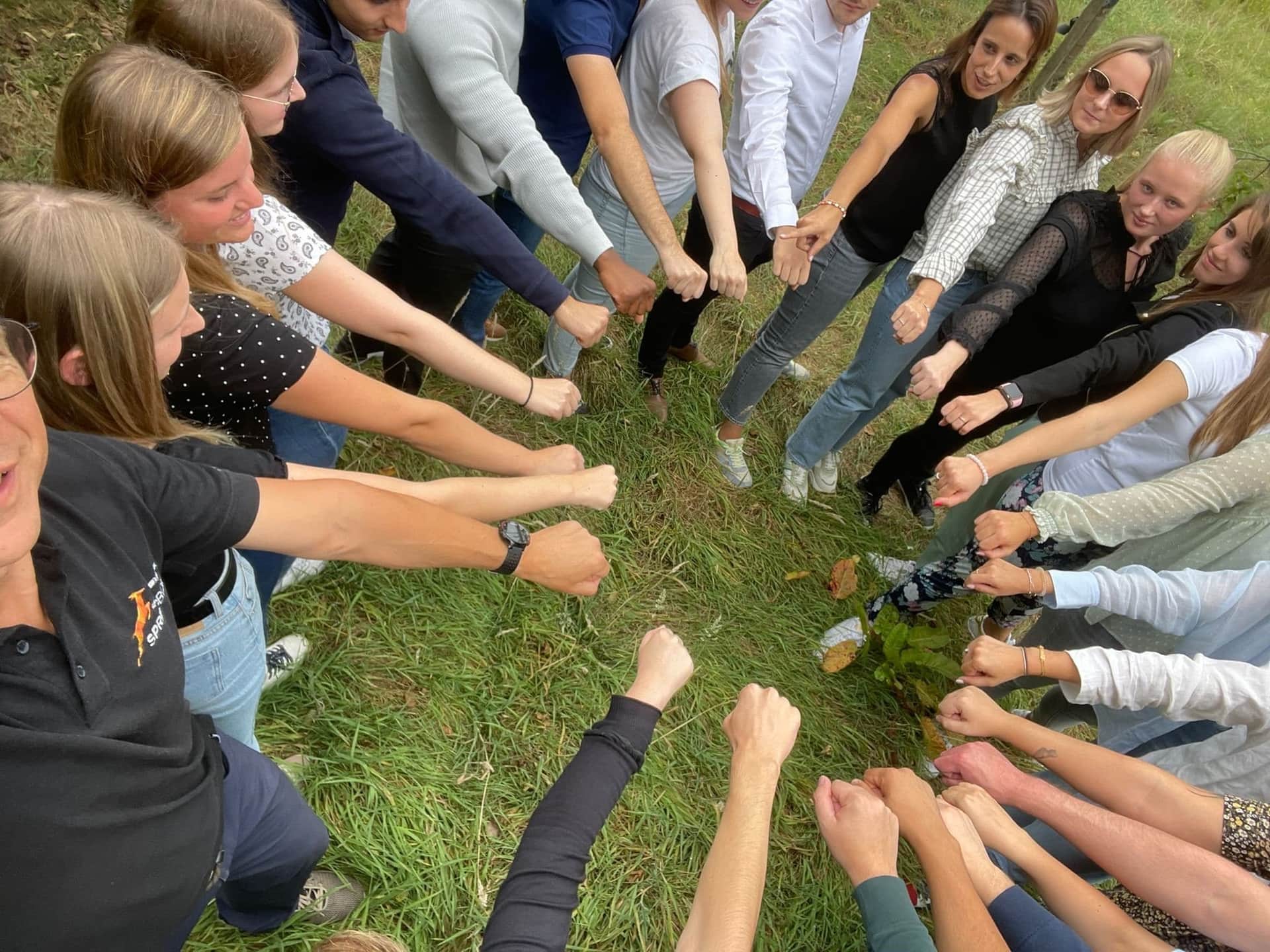 Workshop Teamcoaching header image