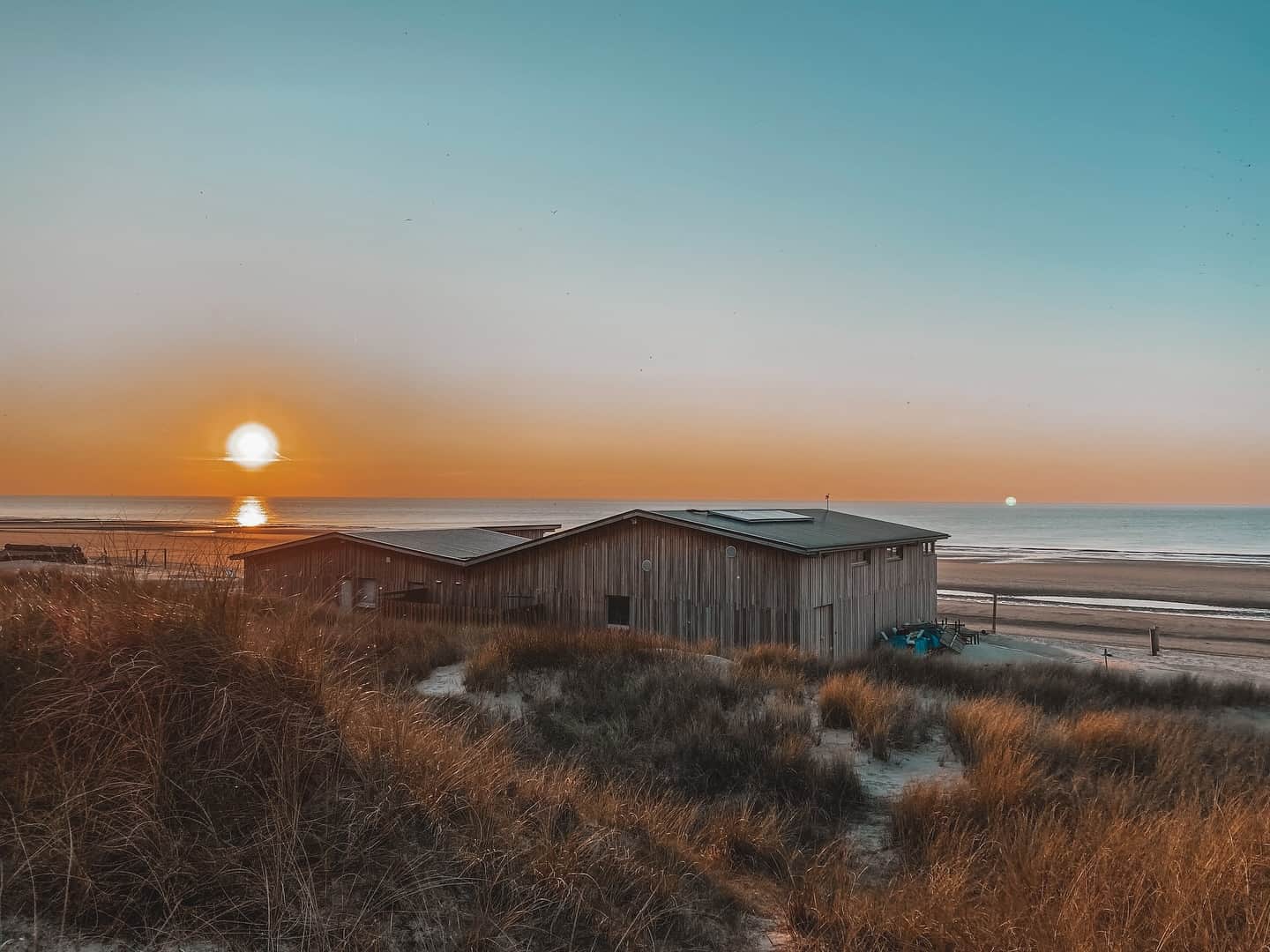 Nettoyage de plage en équipe header image