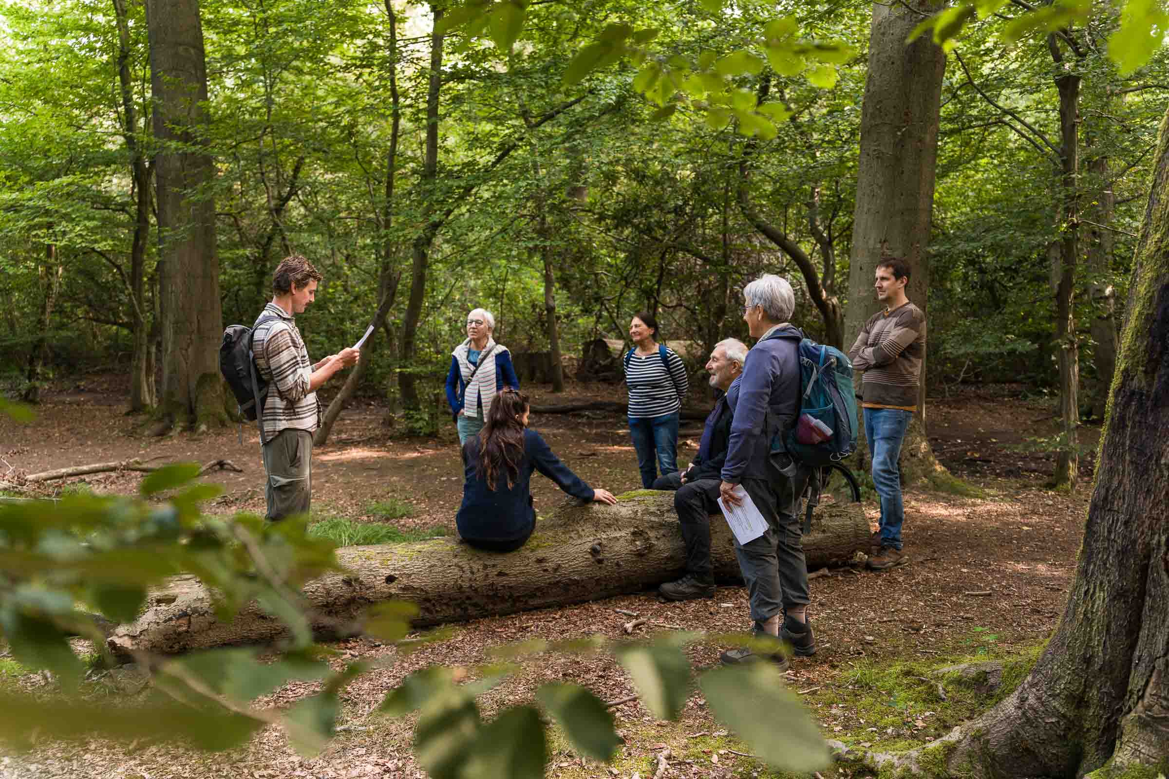 Bain de forêt pour équipes – Ralentir ensemble dans la nature header image