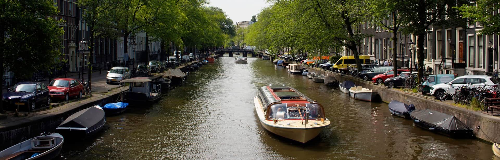 Discover the city header background image