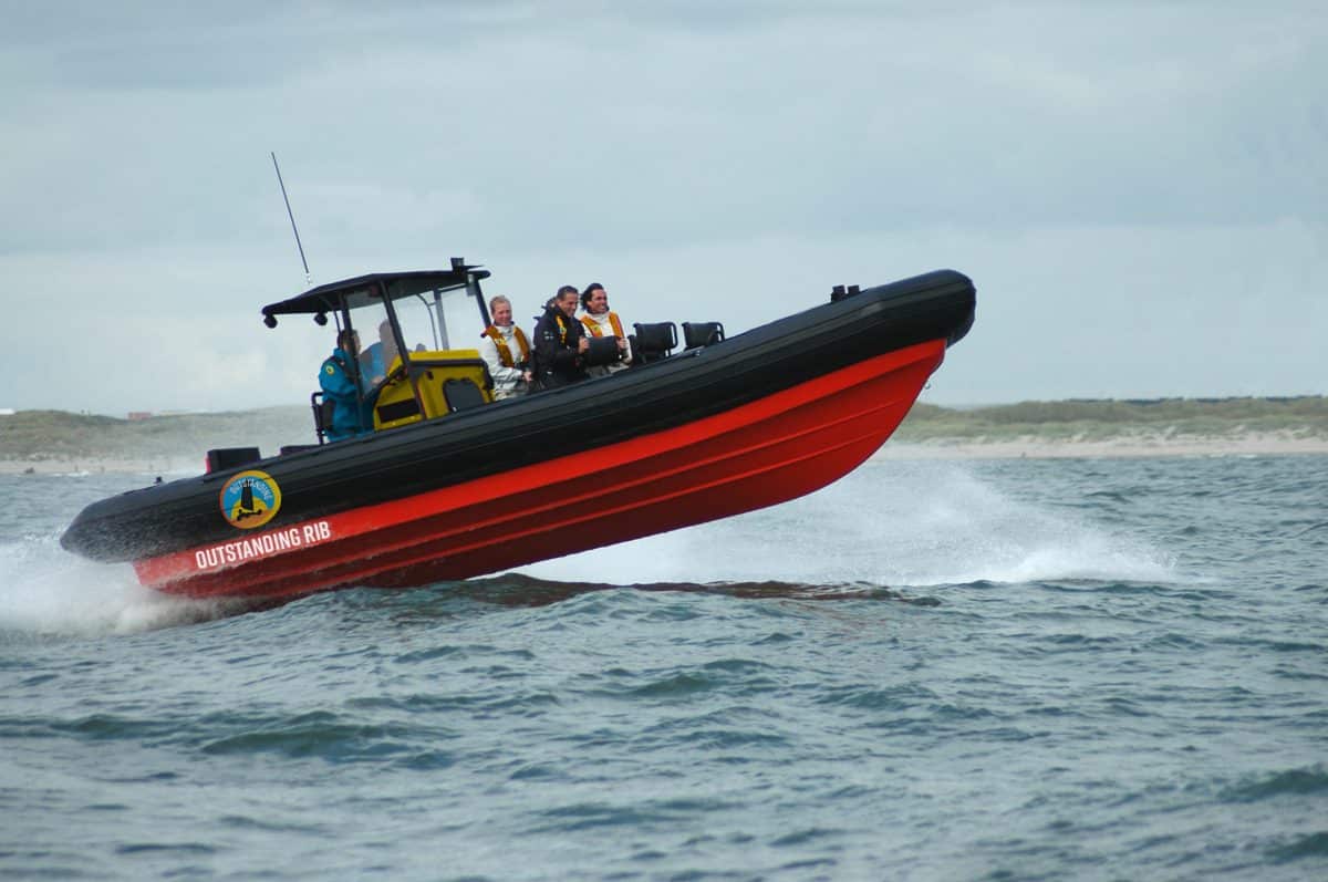 RIB varen header image