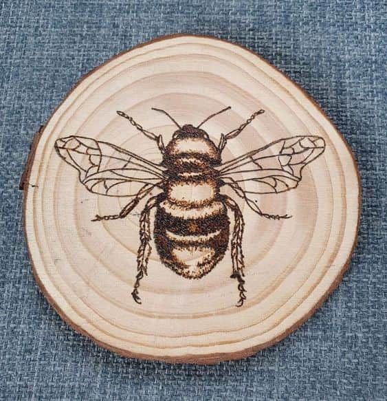 Gravure sur tranche d'arbre header image